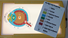 Load image into Gallery viewer, My Sight: Eye Puzzle for the Lightbox (Tactile & Braille) - designed with The American Printing House for the Blind (BUY at APH.org)