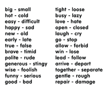 Load image into Gallery viewer, Memory Puzzles: Antonyms in Spanish and English
